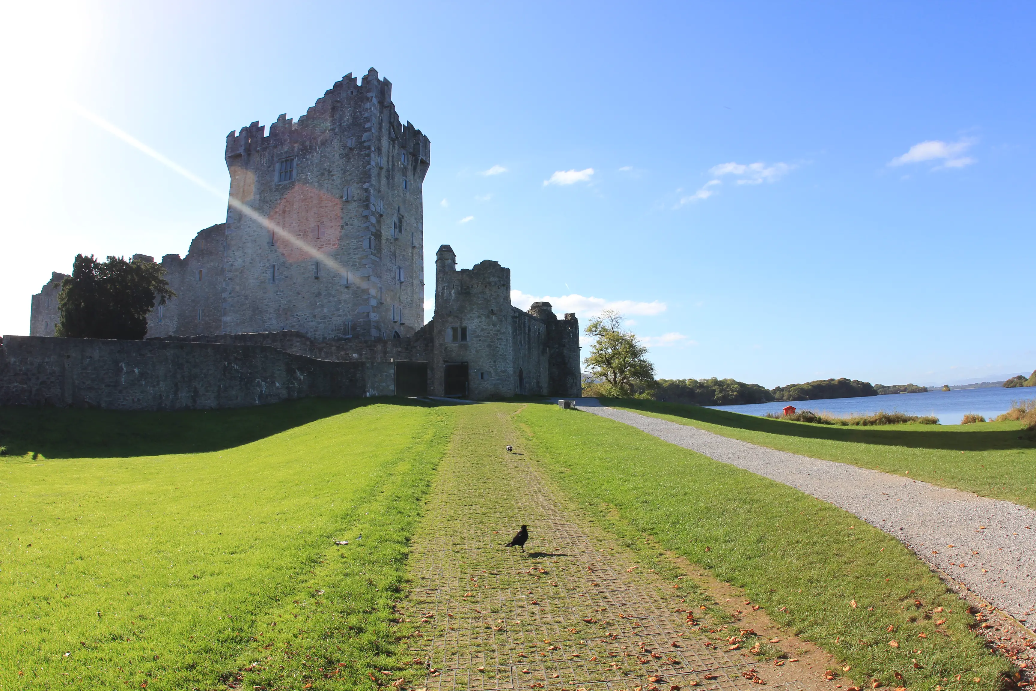 Ross Castle dans le parc national de Killarney