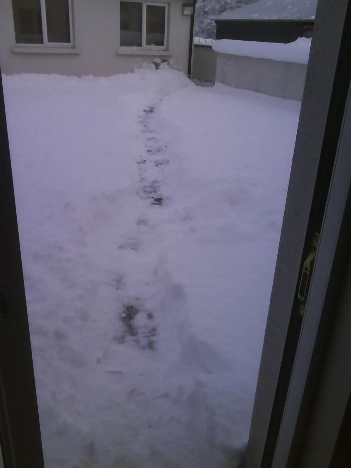 neige-devant-ma-porte